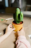 熱門遊戲分類 - 旺财28