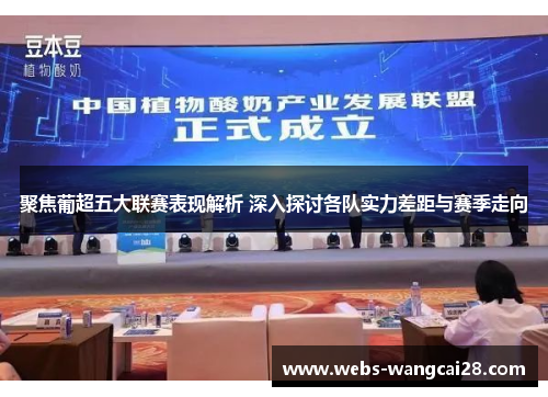 聚焦葡超五大联赛表现解析 深入探讨各队实力差距与赛季走向